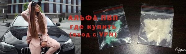 СК Абинск