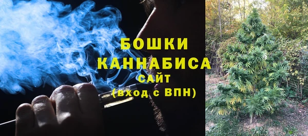 стаф Абдулино
