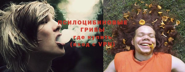 стаф Абдулино