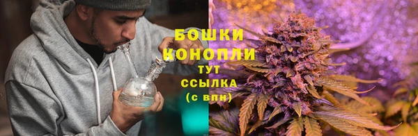 СК Абинск