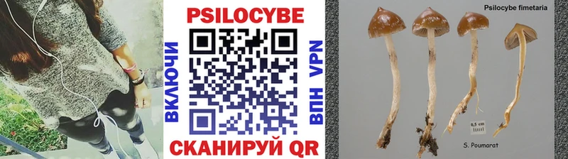 Псилоцибиновые грибы GOLDEN TEACHER  KRAKEN вход  Мостовской  как найти наркотики 